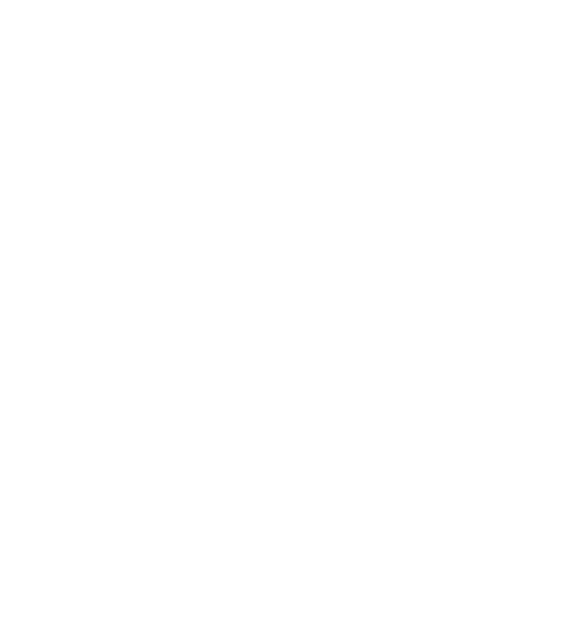 Birdy Fam